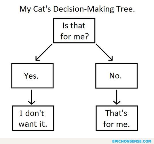 Cat's Decision-Making Tree