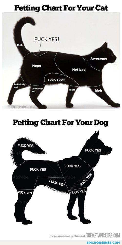 Petting Charts