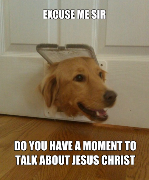 Jehovah Witness Dog
