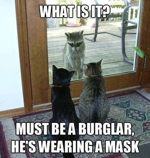 Must Be A Burglar