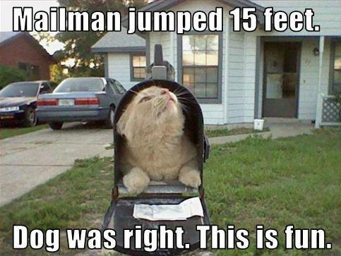 1604_mailman-jumped-fifteen-feet-dog-was-right-this-is-fun_483-363.jpg