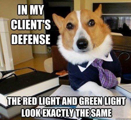 Lawyer Dog