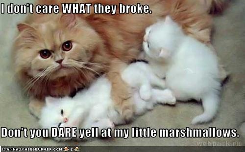 Little Marshmallows