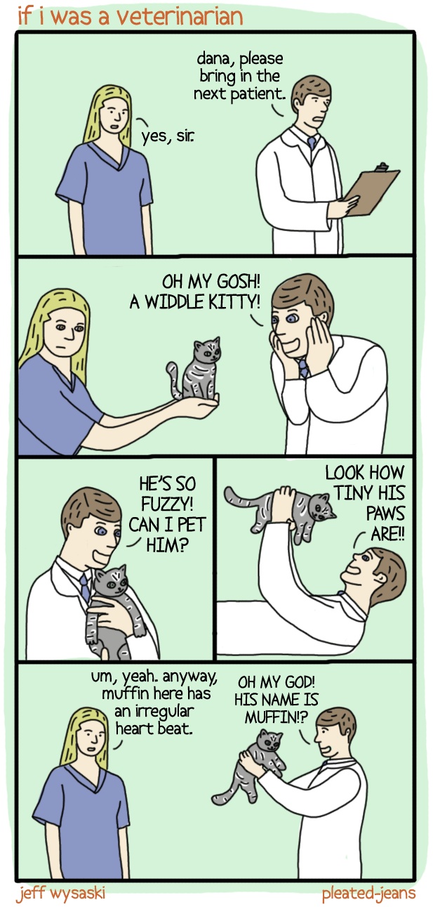 If I Was A Vet