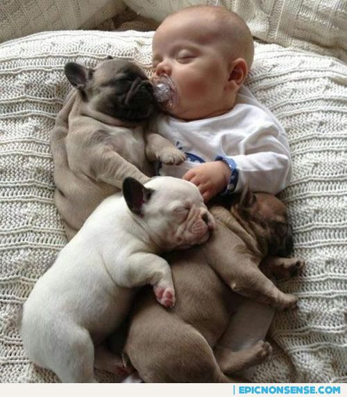 Baby Napping with Puppies