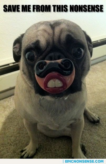 Pug Mustache Pacifier