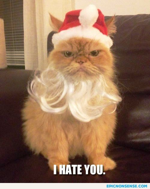 Grouch Santa Cat