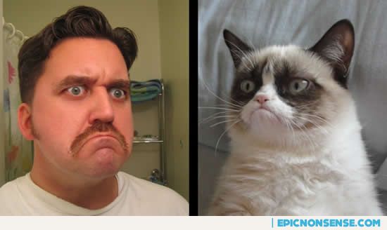 Tard the Grouchy Cat