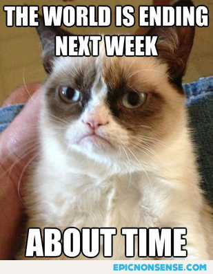 Tard the Grumpy Cat