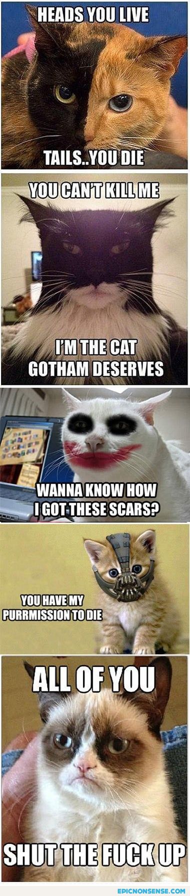 Gotham-Cats vs Tard