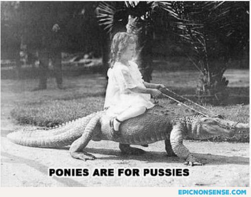 Ponies Are For Pussies