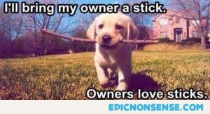 Owners Love Sticks