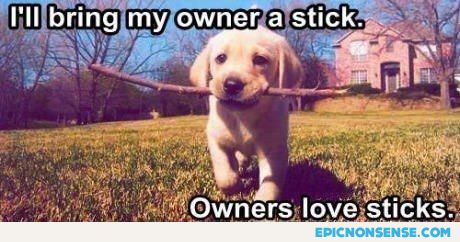 Owners Love Sticks