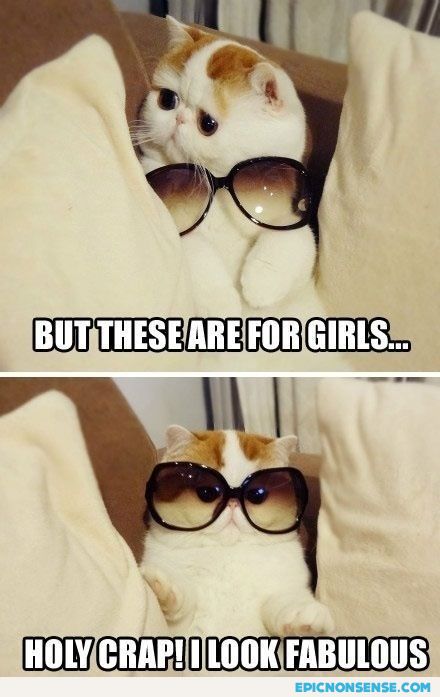 Girly Sunglasses