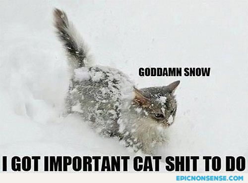 Goddamn Snow!