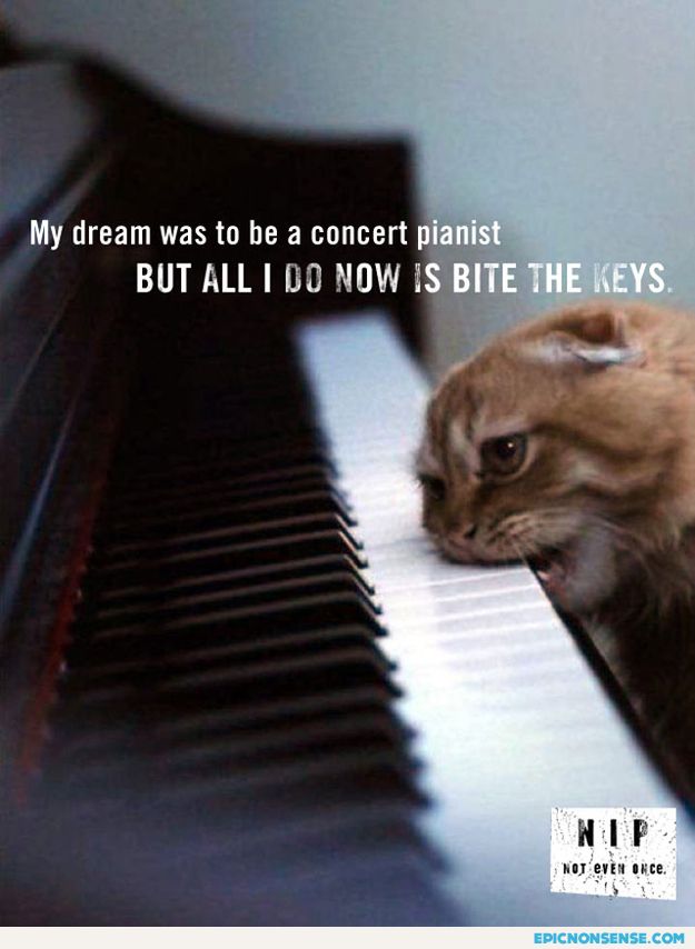 Becoming A Concert Pianist