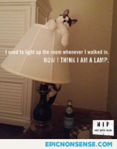 I'm A Lamp