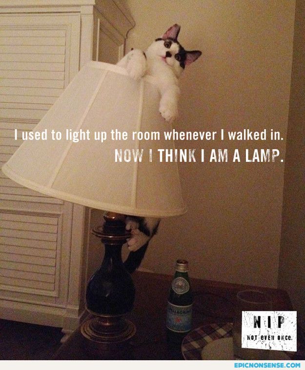 I'm A Lamp