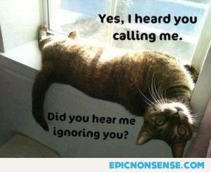 Did You Hear Me Ignoring You?