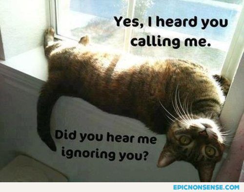 Did You Hear Me Ignoring You?