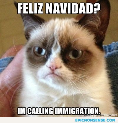 Grumpy Cat's Back!