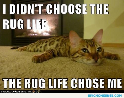 Rug Life
