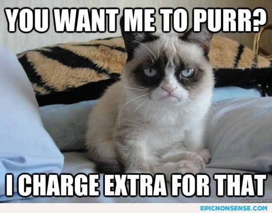 Grumpy Cat Services