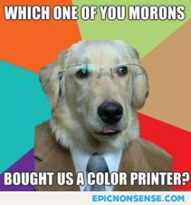 Color Blind Dog