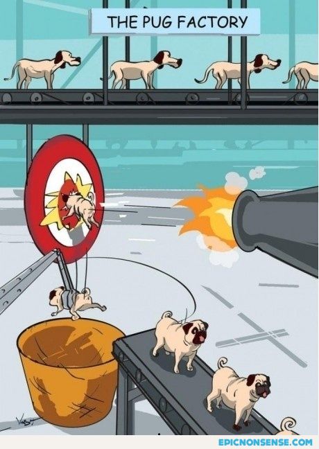 The Pug Factory