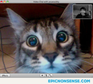 Cat's Face Seeing Its Owner On Webcam