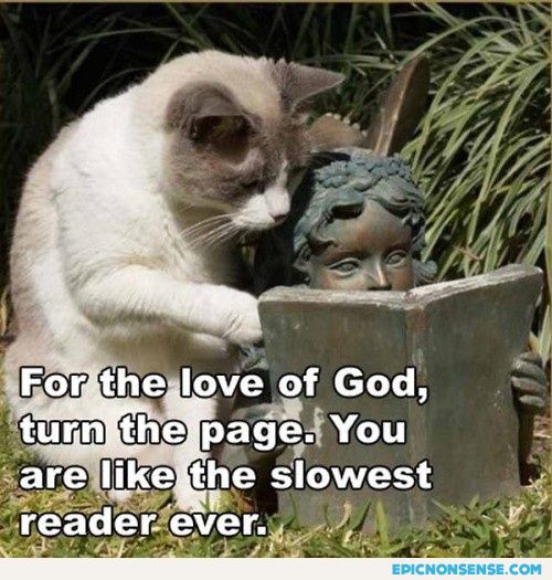 Reader Cat