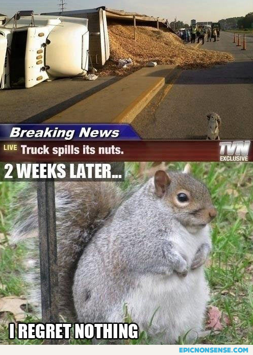 Nuts On The Road