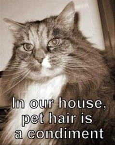 Pet Hair