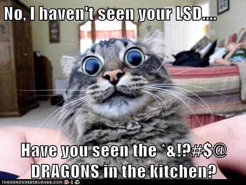 Have You Seen My LSD?