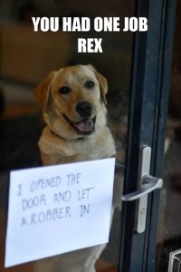 Rex Had One Job