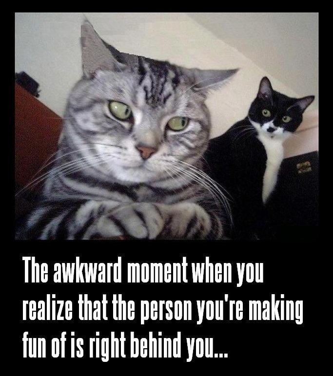 That Awkward Moment When