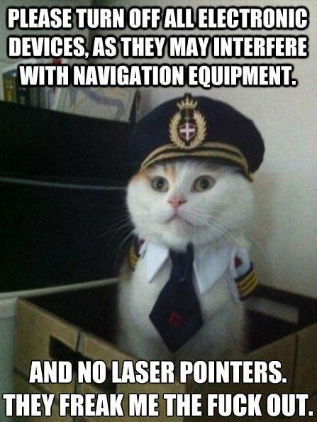 Captain Cat